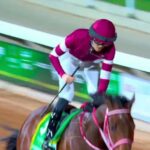 ef82a821 1cec 4106 9b65 8e1e026a001a